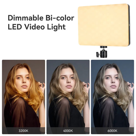 8/12 Inch LED Video Light Kit for YouTube Live Streaming and Photography with Tripod Stand