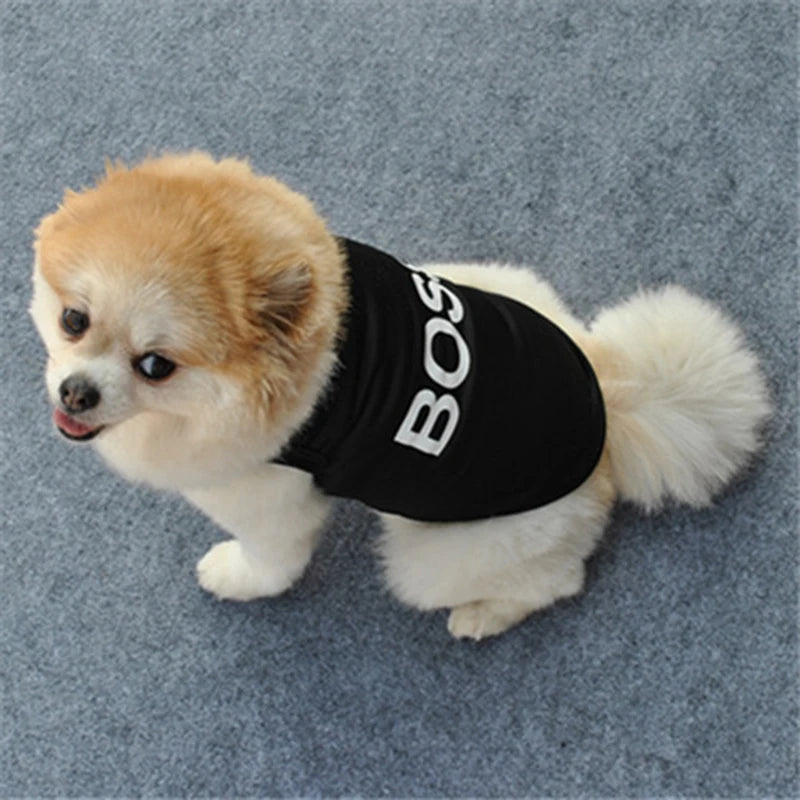 Summer Security Vest for Small Dogs – Chihuahua, Yorkshire & Cats – Lightweight T-Shirt Costume