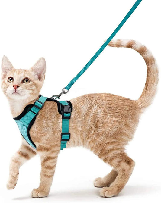 Cat Harness and Leash Set - Adjustable Escape-Proof Vest for Safe Walking with Your Cat