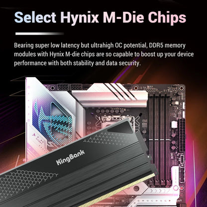 KingBank DDR5 Gaming RAM 6800MHz 24GB (2x12GB) - High-Performance Desktop Memory for Gamers and Creators