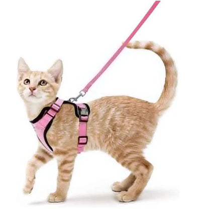 Cat Harness and Leash Set - Adjustable Escape-Proof Vest for Safe Walking with Your Cat