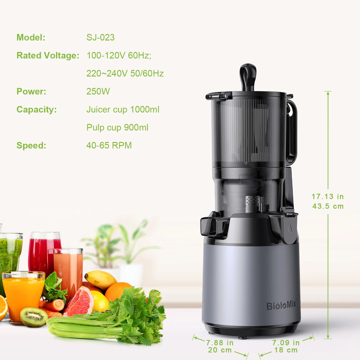 BioloMix Cold Press Juicer for Whole Fruits & Vegetables, 130mm Feed Chute, High Juice Yield, BPA-Free Slow Masticating