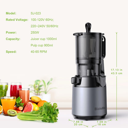 BioloMix Cold Press Juicer for Whole Fruits & Vegetables, 130mm Feed Chute, High Juice Yield, BPA-Free Slow Masticating