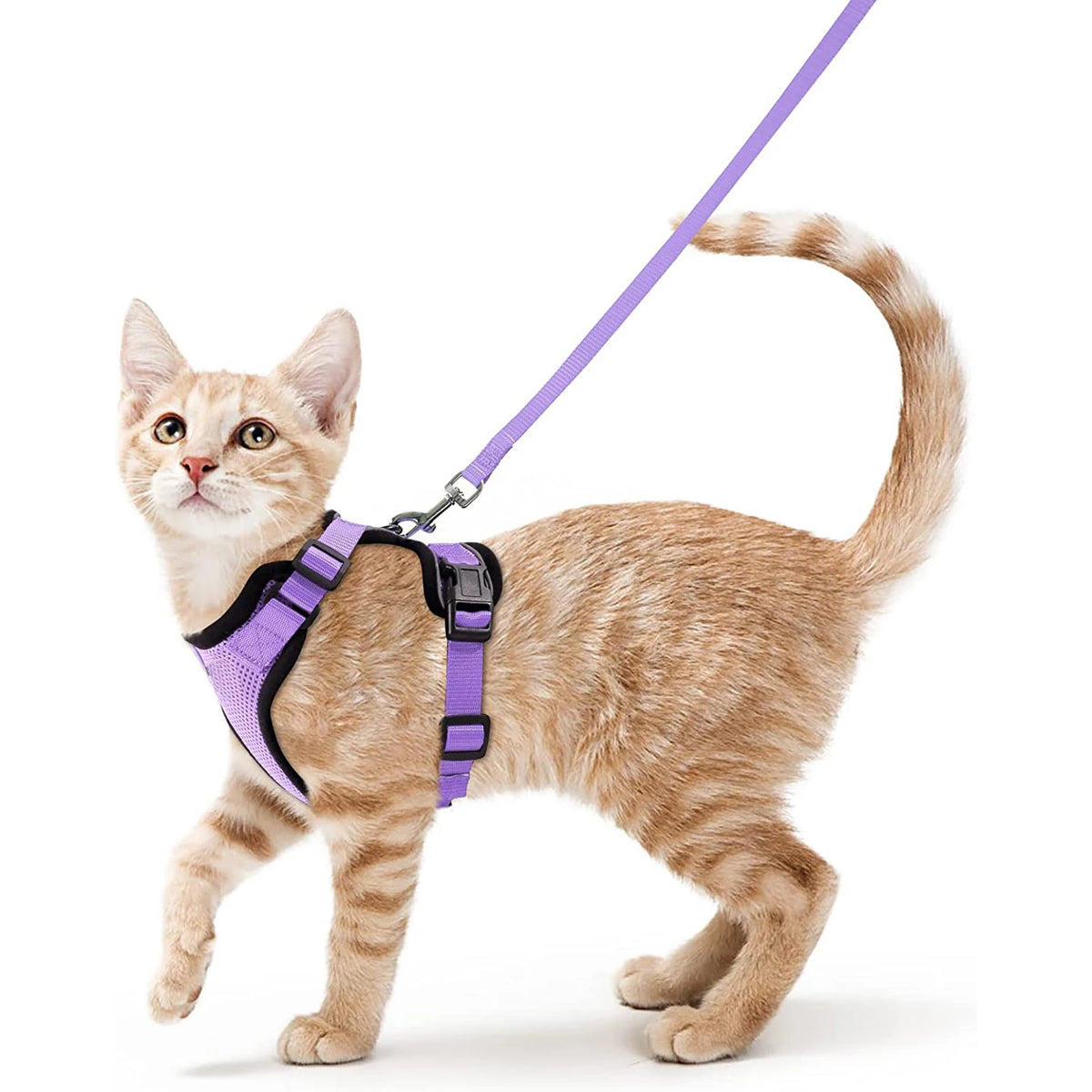 Cat Harness and Leash Set - Adjustable Escape-Proof Vest for Safe Walking with Your Cat