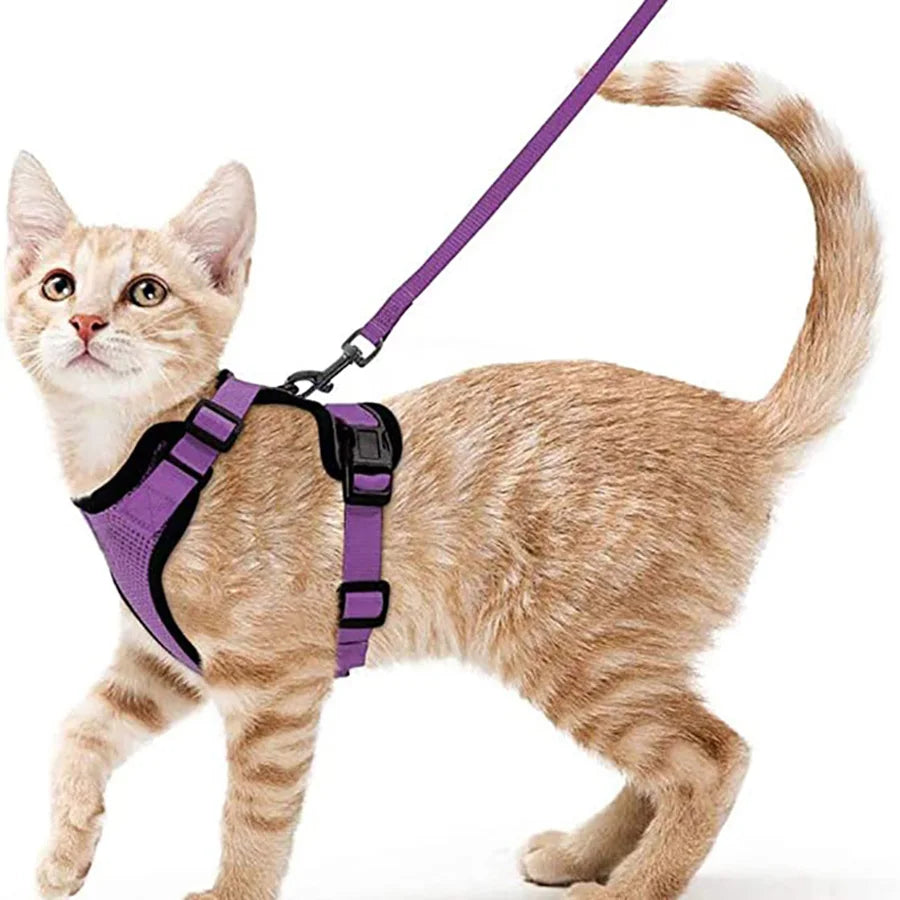 Cat Harness and Leash Set - Adjustable Escape-Proof Vest for Safe Walking with Your Cat