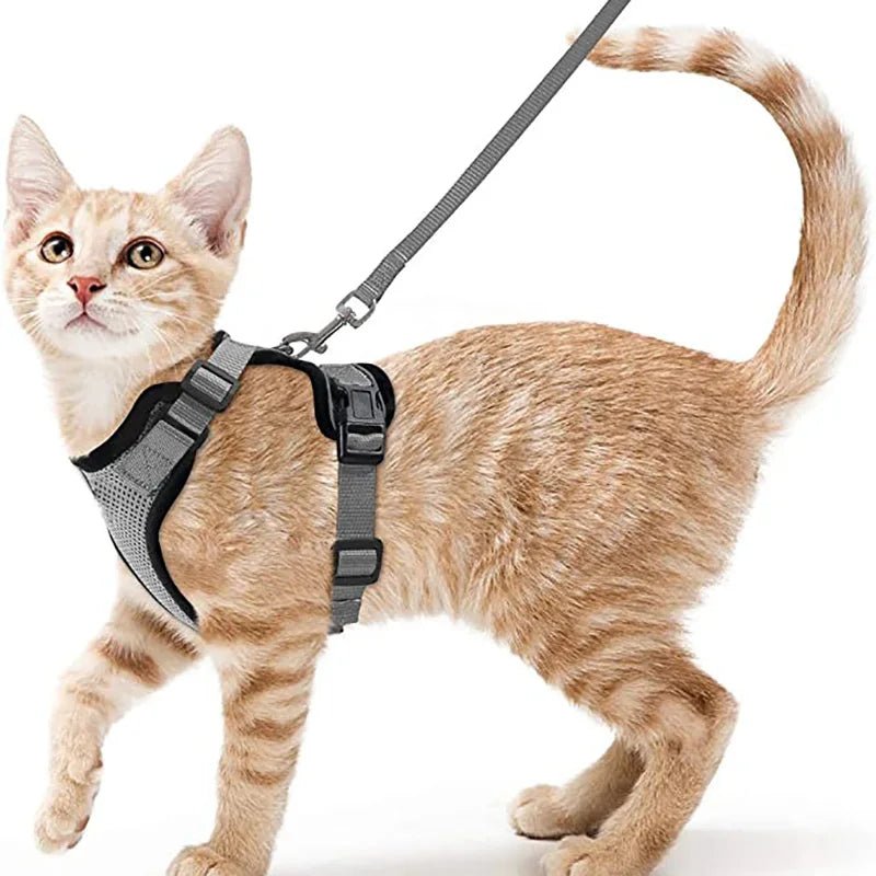 Cat Harness and Leash Set - Adjustable Escape-Proof Vest for Safe Walking with Your Cat
