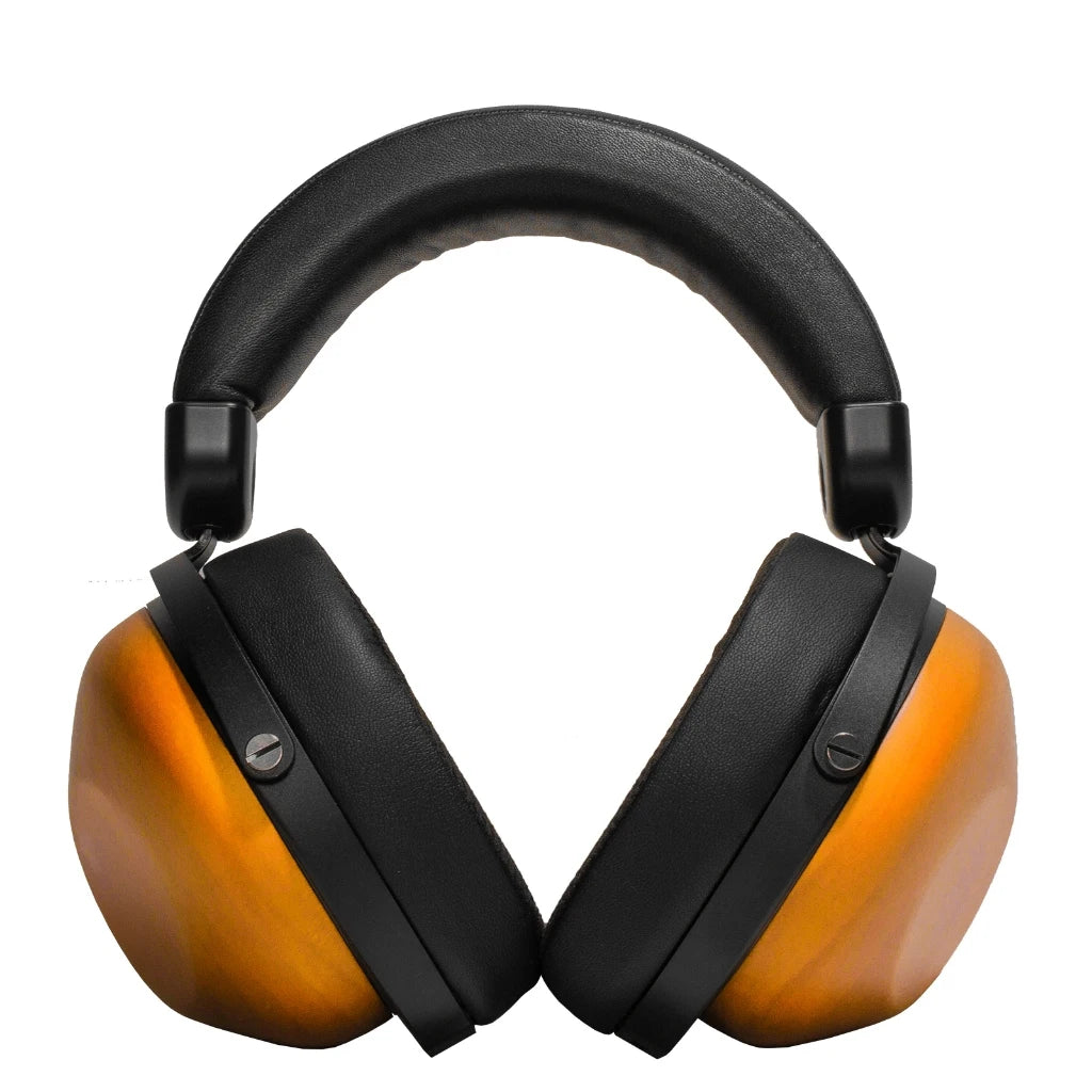 HIFIMAN HE-R10D Closed-Back Over-Ear Headphones for Home, Studio, and Recording - Wired & Wireless Options