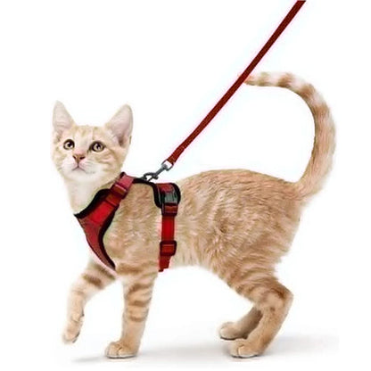 Cat Harness and Leash Set - Adjustable Escape-Proof Vest for Safe Walking with Your Cat
