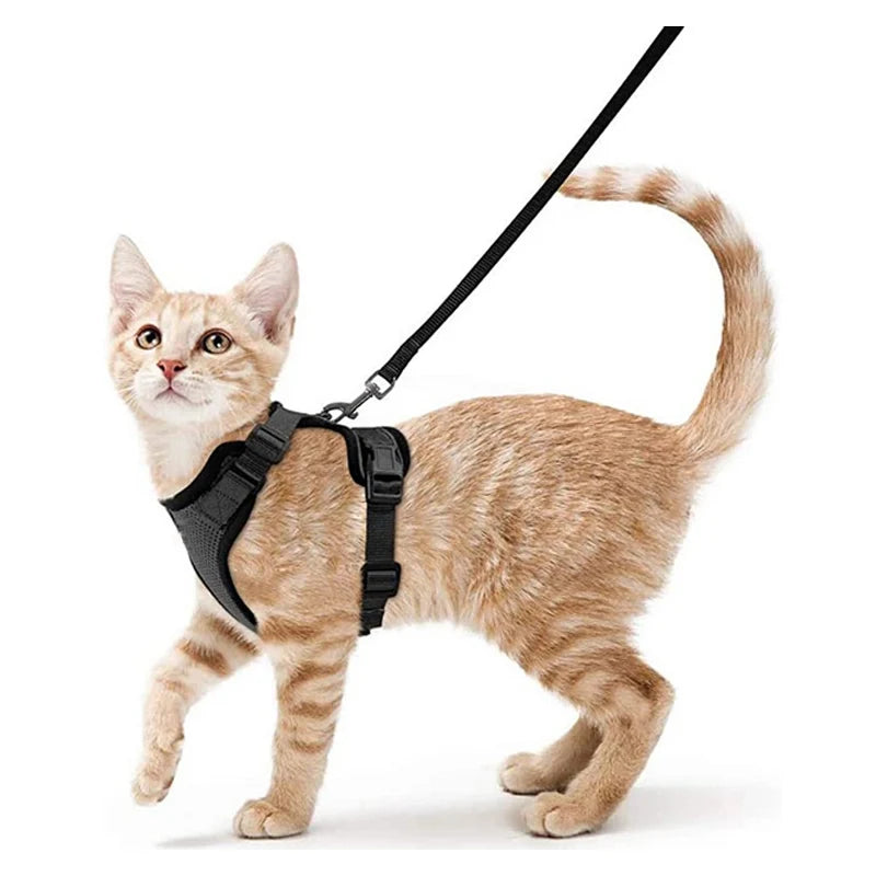 Cat Harness and Leash Set - Adjustable Escape-Proof Vest for Safe Walking with Your Cat